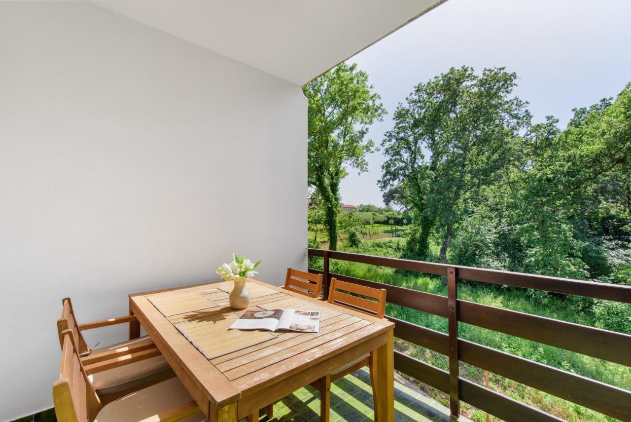 Apartments Villa Verde Novigrad  Zewnętrze zdjęcie
